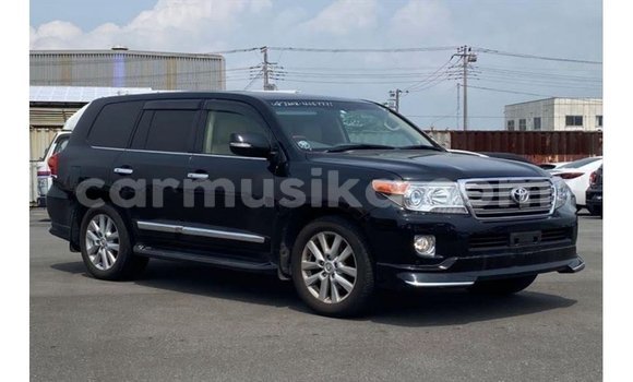 Acheter Import Voiture Toyota Land Cruiser Noir à Import - Dubai, Harare