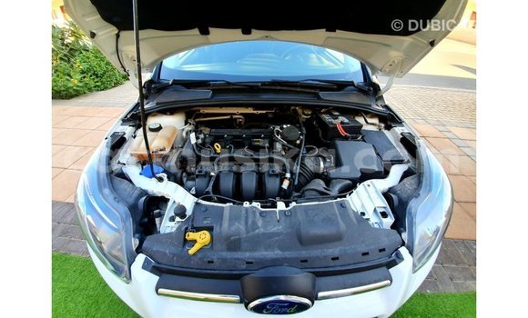 Buy Import Ford Focus White Car in Import - Dubai in Harare Buy Import Ford Focus White Car in Import - Dubai in Harare