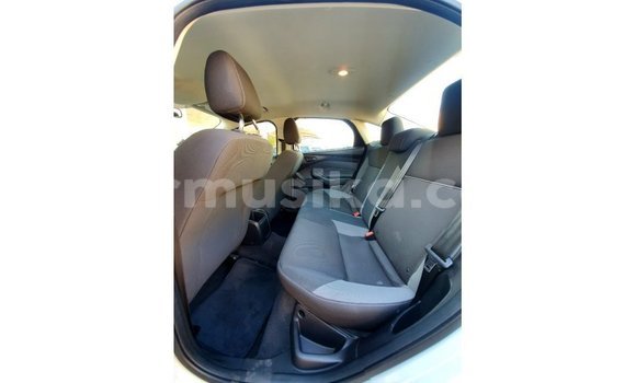 Buy Import Ford Focus White Car in Import - Dubai in Harare Buy Import Ford Focus White Car in Import - Dubai in Harare