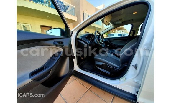 Buy Import Ford Focus White Car in Import - Dubai in Harare Buy Import Ford Focus White Car in Import - Dubai in Harare