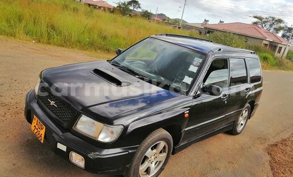 Acheter Occasion Voiture Subaru Forester Noir à Harare, Harare Acheter Occasion Voiture Subaru Forester Noir à Harare, Harare