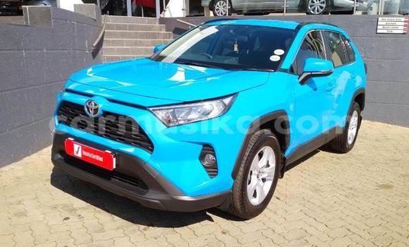 Buy Used Toyota RAV4 Blue Car in Beitbridge in Matabeleland South