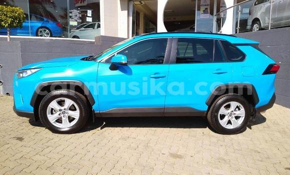 Buy Used Toyota RAV4 Blue Car in Beitbridge in Matabeleland South Buy Used Toyota RAV4 Blue Car in Beitbridge in Matabeleland South