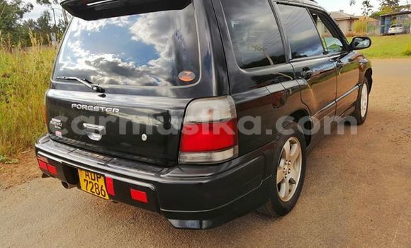 Acheter Occasion Voiture Subaru Forester Noir à Harare, Harare Acheter Occasion Voiture Subaru Forester Noir à Harare, Harare