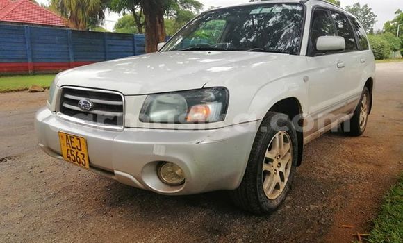 Nunua Ilio tumika Subaru Forester Nyeupe Gari ndani ya Harare nchini Harare