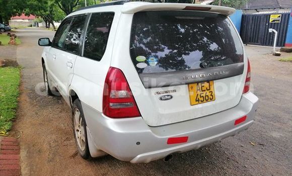Acheter Occasion Voiture Subaru Forester Blanc à Harare, Harare Acheter Occasion Voiture Subaru Forester Blanc à Harare, Harare