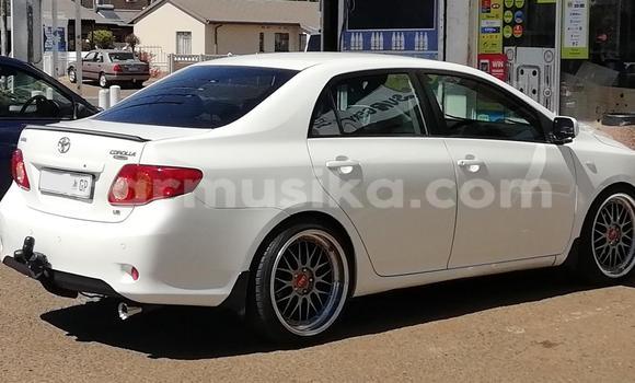 Acheter Occasion Voiture Toyota Corolla Blanc à Beitbridge, Matabeleland South