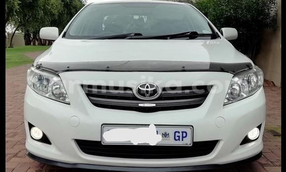 Acheter Occasion Voiture Toyota Corolla Blanc à Beitbridge, Matabeleland South Acheter Occasion Voiture Toyota Corolla Blanc à Beitbridge, Matabeleland South