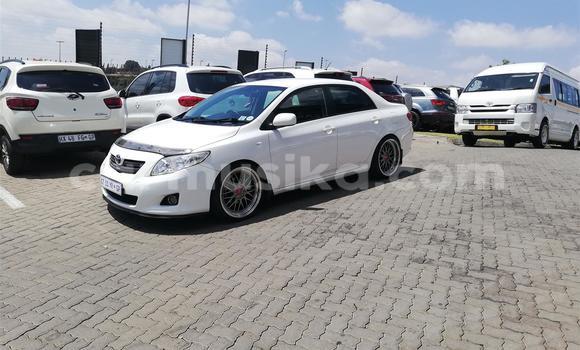 Acheter Occasion Voiture Toyota Corolla Blanc à Beitbridge, Matabeleland South Acheter Occasion Voiture Toyota Corolla Blanc à Beitbridge, Matabeleland South