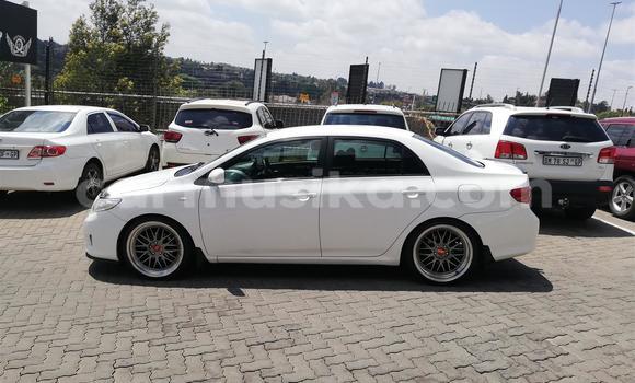 Acheter Occasion Voiture Toyota Corolla Blanc à Beitbridge, Matabeleland South Acheter Occasion Voiture Toyota Corolla Blanc à Beitbridge, Matabeleland South