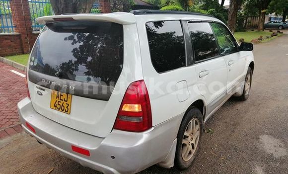 Acheter Occasion Voiture Subaru Forester Blanc à Harare, Harare Acheter Occasion Voiture Subaru Forester Blanc à Harare, Harare