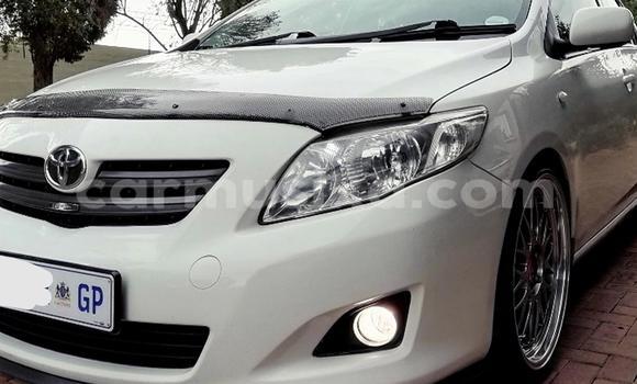 Acheter Occasion Voiture Toyota Corolla Blanc à Beitbridge, Matabeleland South Acheter Occasion Voiture Toyota Corolla Blanc à Beitbridge, Matabeleland South