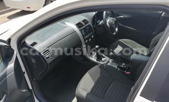 Acheter Occasion Voiture Toyota Corolla Blanc à Beitbridge, Matabeleland South Acheter Occasion Voiture Toyota Corolla Blanc à Beitbridge, Matabeleland South