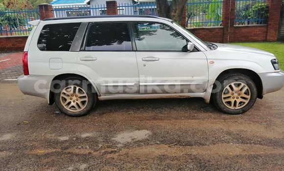 Acheter Occasion Voiture Subaru Forester Blanc à Harare, Harare Acheter Occasion Voiture Subaru Forester Blanc à Harare, Harare