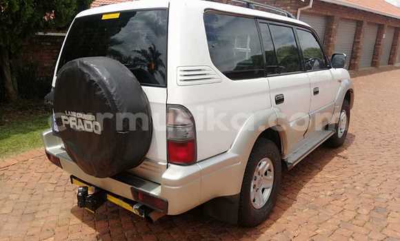 Acheter Occasion Voiture Toyota Prado Blanc à Beitbridge, Matabeleland South Acheter Occasion Voiture Toyota Prado Blanc à Beitbridge, Matabeleland South