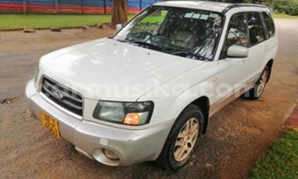 Acheter Occasion Voiture Subaru Forester Blanc à Harare, Harare Acheter Occasion Voiture Subaru Forester Blanc à Harare, Harare