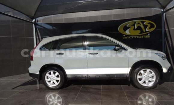 Buy Used Honda CR–V White Car in Beitbridge in Matabeleland South Buy Used Honda CR–V White Car in Beitbridge in Matabeleland South