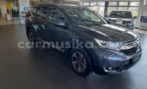 Tenga Tsaru Honda CR–V Sirivha Mota in Beitbridge in Matabeleland South