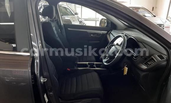Buy Used Honda CR–V Silver Car in Beitbridge in Matabeleland South Buy Used Honda CR–V Silver Car in Beitbridge in Matabeleland South