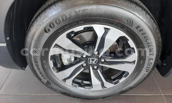 Buy Used Honda CR–V Silver Car in Beitbridge in Matabeleland South Buy Used Honda CR–V Silver Car in Beitbridge in Matabeleland South