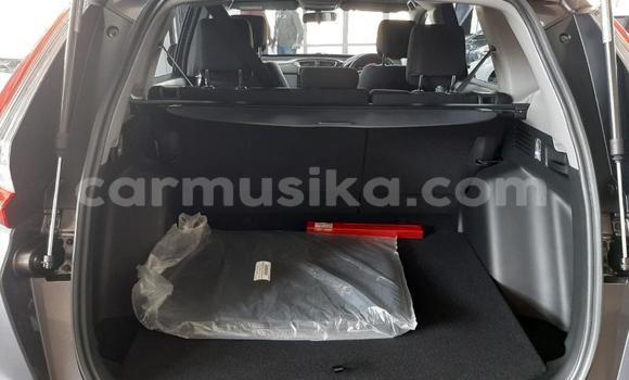 Buy Used Honda CR–V Silver Car in Beitbridge in Matabeleland South Buy Used Honda CR–V Silver Car in Beitbridge in Matabeleland South