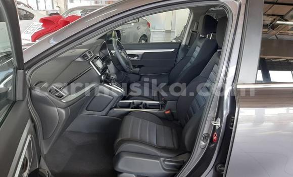 Buy Used Honda CR–V Silver Car in Beitbridge in Matabeleland South Buy Used Honda CR–V Silver Car in Beitbridge in Matabeleland South