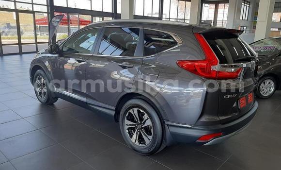 Buy Used Honda CR–V Silver Car in Beitbridge in Matabeleland South Buy Used Honda CR–V Silver Car in Beitbridge in Matabeleland South