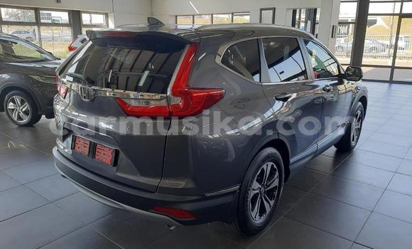 Buy Used Honda CR–V Silver Car in Beitbridge in Matabeleland South Buy Used Honda CR–V Silver Car in Beitbridge in Matabeleland South