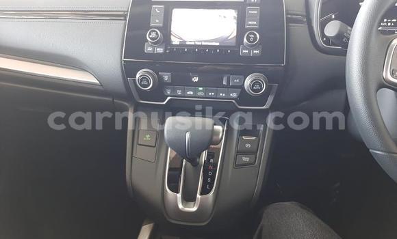 Buy Used Honda CR–V Silver Car in Beitbridge in Matabeleland South Buy Used Honda CR–V Silver Car in Beitbridge in Matabeleland South