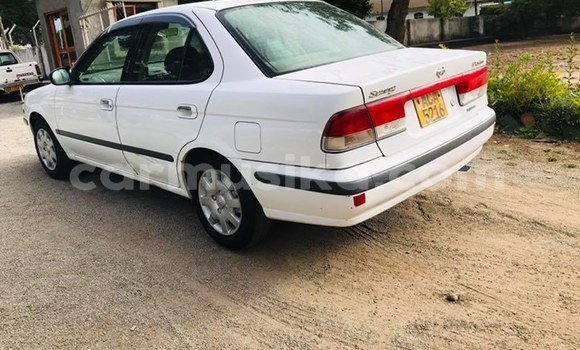 Tenga Tsaru Nissan Sunny Chena Mota in Harare in Harare Tenga Tsaru Nissan Sunny Chena Mota in Harare in Harare