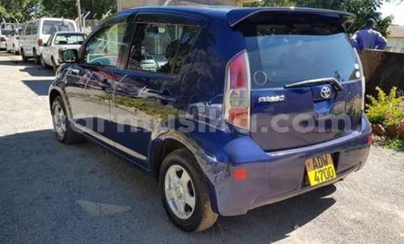 Tenga Tsaru Toyota Passo Bhuruu Mota in Harare in Harare Tenga Tsaru Toyota Passo Bhuruu Mota in Harare in Harare