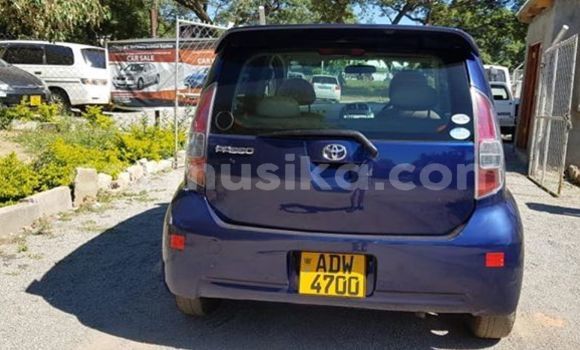 Tenga Tsaru Toyota Passo Bhuruu Mota in Harare in Harare Tenga Tsaru Toyota Passo Bhuruu Mota in Harare in Harare