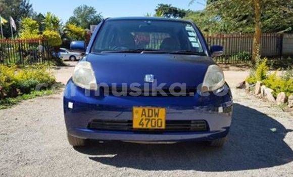 Tenga Tsaru Toyota Passo Bhuruu Mota in Harare in Harare Tenga Tsaru Toyota Passo Bhuruu Mota in Harare in Harare