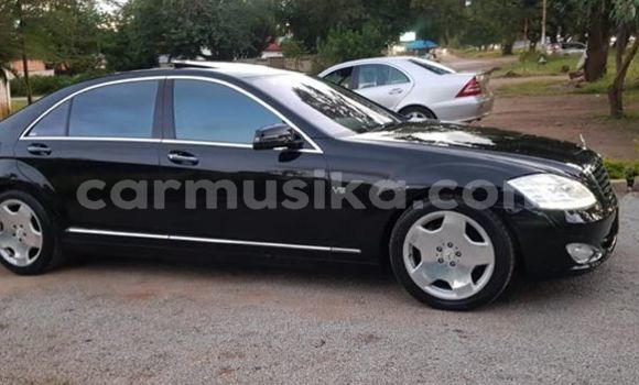 Tenga Tsaru Mercedes‒Benz S–Class Nhema Mota in Harare in Harare Tenga Tsaru Mercedes‒Benz S–Class Nhema Mota in Harare in Harare