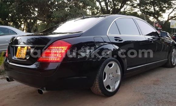 Tenga Tsaru Mercedes‒Benz S–Class Nhema Mota in Harare in Harare Tenga Tsaru Mercedes‒Benz S–Class Nhema Mota in Harare in Harare