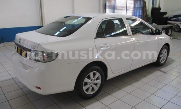 Acheter Occasion Voiture Toyota Corolla Blanc à Harare, Harare Acheter Occasion Voiture Toyota Corolla Blanc à Harare, Harare