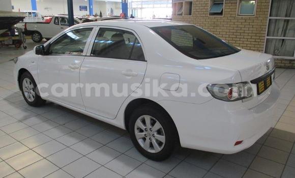 Acheter Occasion Voiture Toyota Corolla Blanc à Harare, Harare Acheter Occasion Voiture Toyota Corolla Blanc à Harare, Harare