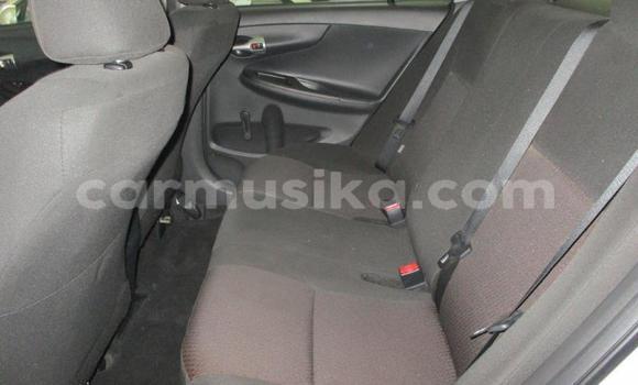 Acheter Occasion Voiture Toyota Corolla Blanc à Harare, Harare Acheter Occasion Voiture Toyota Corolla Blanc à Harare, Harare