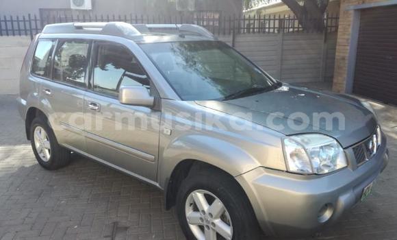 Acheter Occasion Voiture Nissan X–Trail Gris à Beitbridge, Matabeleland South
