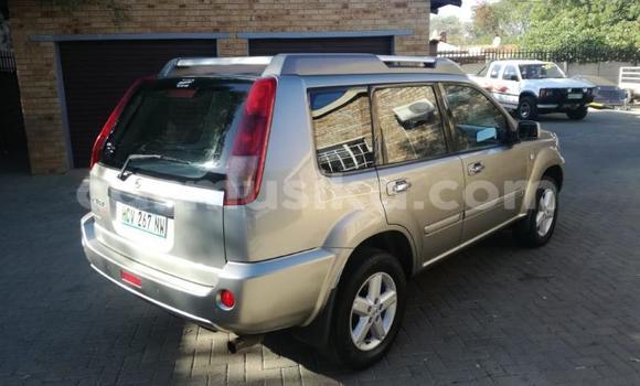 Tenga Tsaru Nissan X–Trail Sirivha Mota in Beitbridge in Matabeleland South Tenga Tsaru Nissan X–Trail Sirivha Mota in Beitbridge in Matabeleland South
