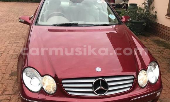 Tenga Tsaru Mercedes‒Benz CLK–Class Tsvuku Mota in Bulawayo in Bulawayo Tenga Tsaru Mercedes‒Benz CLK–Class Tsvuku Mota in Bulawayo in Bulawayo