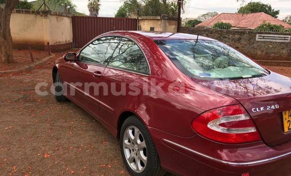 Tenga Tsaru Mercedes‒Benz CLK–Class Tsvuku Mota in Bulawayo in Bulawayo Tenga Tsaru Mercedes‒Benz CLK–Class Tsvuku Mota in Bulawayo in Bulawayo