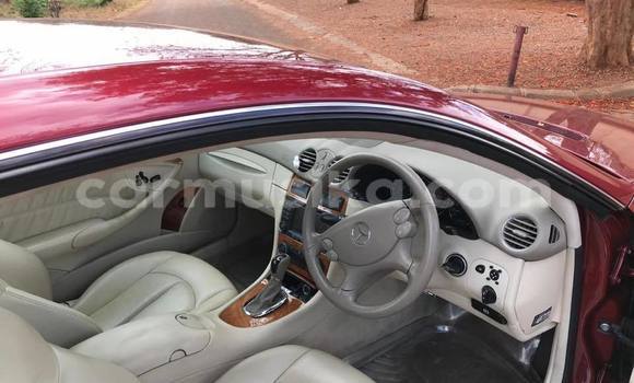 Tenga Tsaru Mercedes‒Benz CLK–Class Tsvuku Mota in Bulawayo in Bulawayo Tenga Tsaru Mercedes‒Benz CLK–Class Tsvuku Mota in Bulawayo in Bulawayo