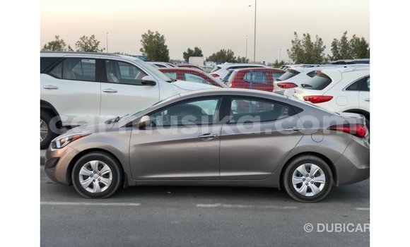 Buy Import Hyundai Elantra Brown Car in Import - Dubai in Harare Buy Import Hyundai Elantra Brown Car in Import - Dubai in Harare