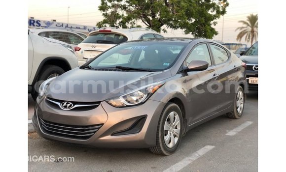 Buy Import Hyundai Elantra Brown Car in Import - Dubai in Harare Buy Import Hyundai Elantra Brown Car in Import - Dubai in Harare