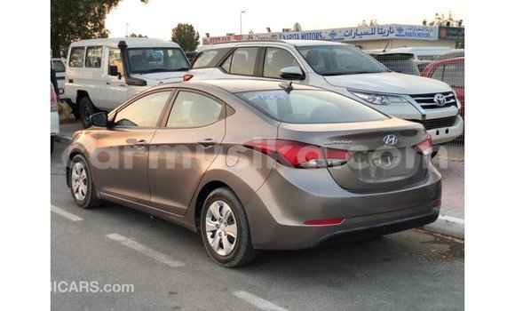 Buy Import Hyundai Elantra Brown Car in Import - Dubai in Harare Buy Import Hyundai Elantra Brown Car in Import - Dubai in Harare