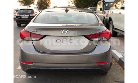 Buy Import Hyundai Elantra Brown Car in Import - Dubai in Harare Buy Import Hyundai Elantra Brown Car in Import - Dubai in Harare