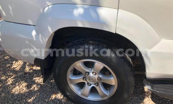 Tenga Tsaru Toyota Land Cruiser Prado Chena Mota in Bulawayo in Bulawayo Tenga Tsaru Toyota Land Cruiser Prado Chena Mota in Bulawayo in Bulawayo