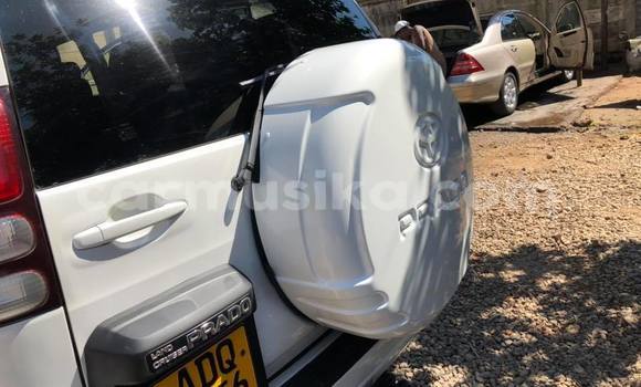 Tenga Tsaru Toyota Land Cruiser Prado Chena Mota in Bulawayo in Bulawayo Tenga Tsaru Toyota Land Cruiser Prado Chena Mota in Bulawayo in Bulawayo