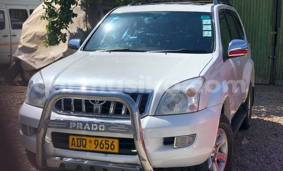 Tenga Tsaru Toyota Land Cruiser Prado Chena Mota in Bulawayo in Bulawayo Tenga Tsaru Toyota Land Cruiser Prado Chena Mota in Bulawayo in Bulawayo